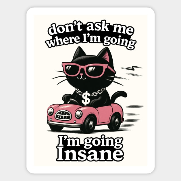 I'm Going Insane Magnet by CreativeSage